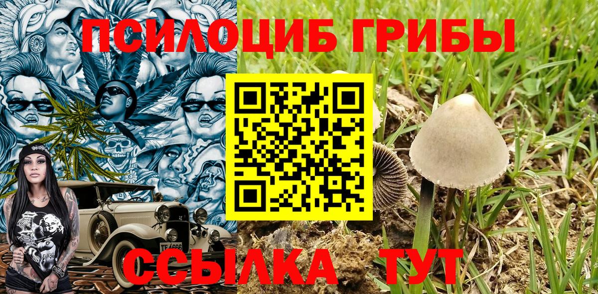 Галлюциногенные грибы Cubensis  Псилоцибиновые грибы MAGIC MUSHROOMS  Вход с VPN  Прохладный 